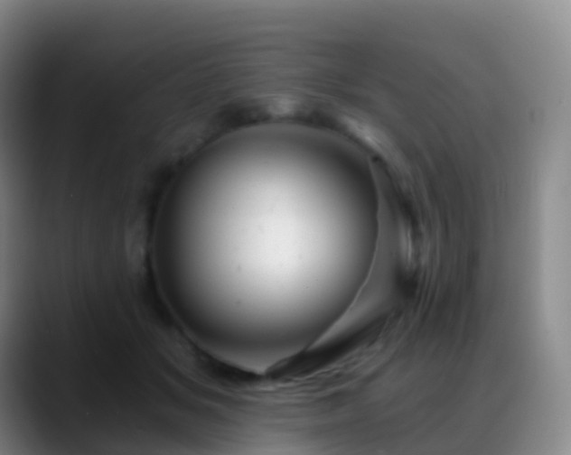 X0000088890509200706151832