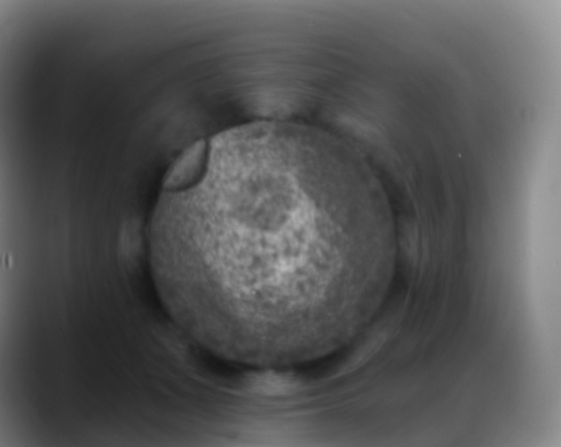 X0000088890511200706151832