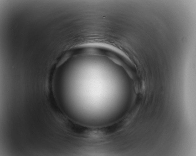 X0000088890512200706151832