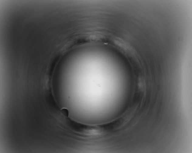 X0000088890514200706151832