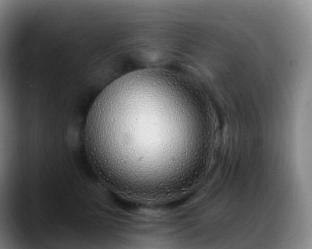 X0000088890515200706151832