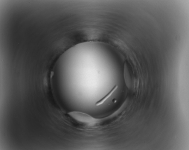 X0000088890516200706151832