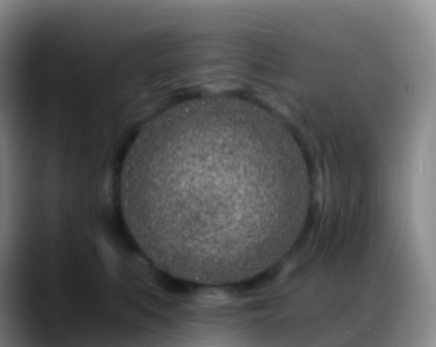 X0000088890519200706151832