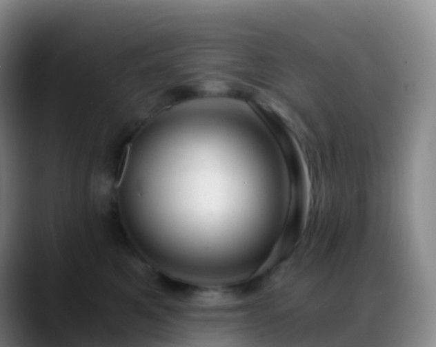 X0000088890521200706151832