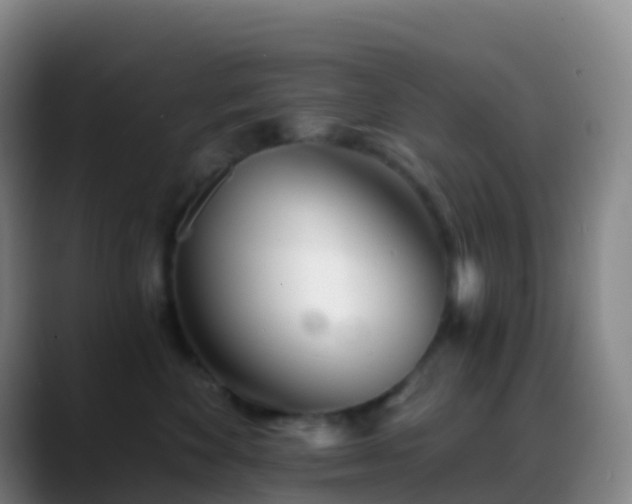 X0000088890524200706151832