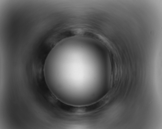 X0000088890525200706151832