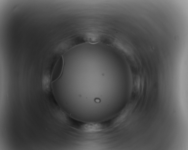 X0000088890526200706151832