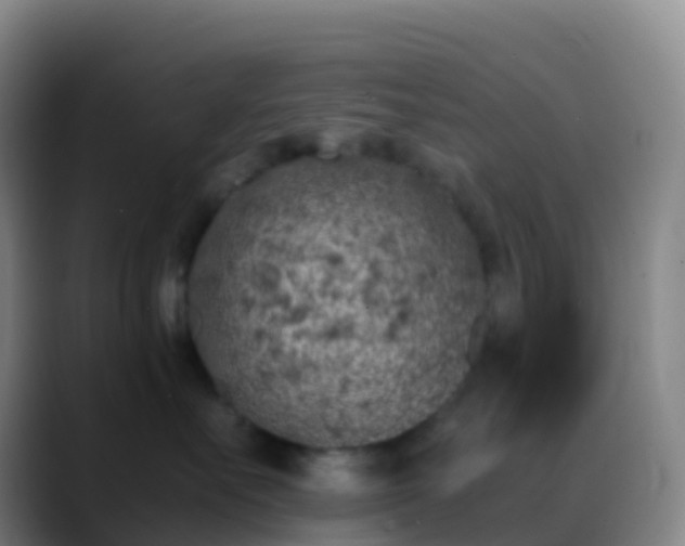 X0000088890527200706151832