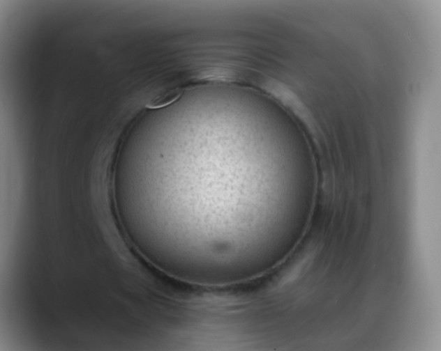 X0000088890529200706151831