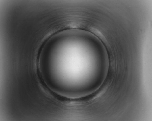 X0000088890530200706151831