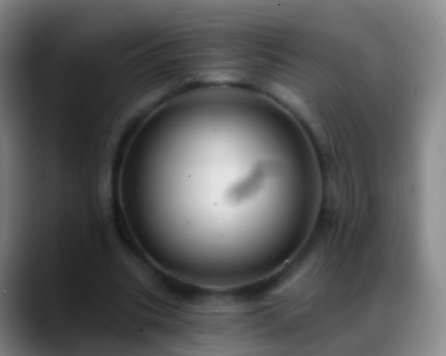 X0000088890535200706151831