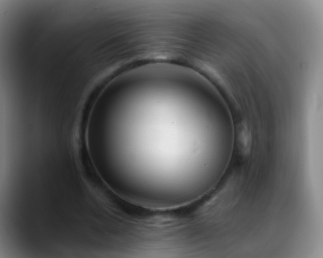 X0000088890536200706151831