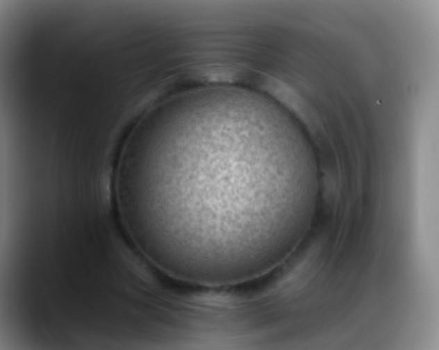 X0000088890537200706151831