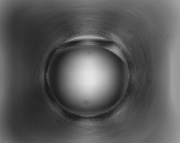 X0000088890538200706151831