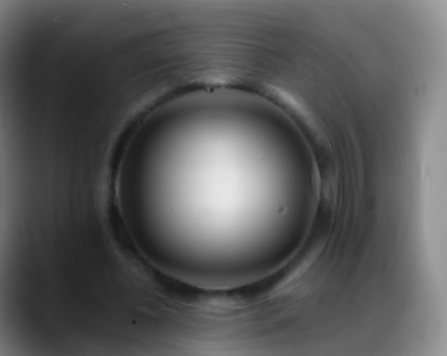 X0000088890540200706151831