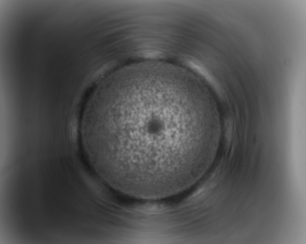 X0000088890542200706151831