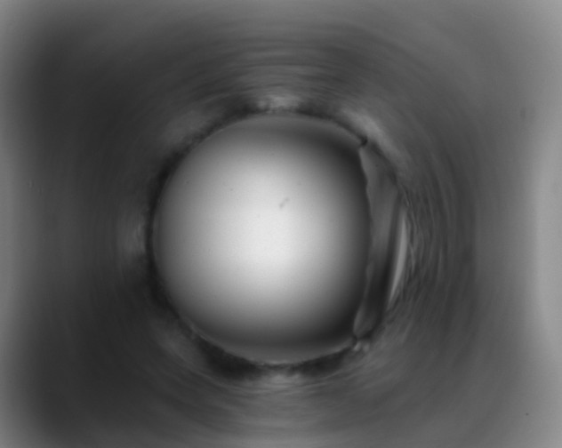 X0000088890543200706151831