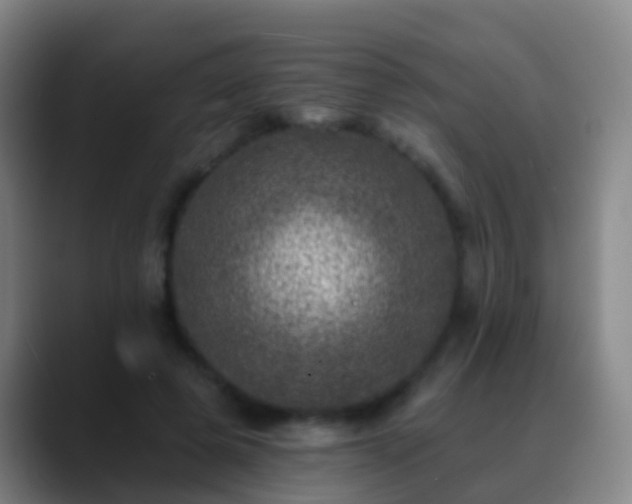 X0000088890545200706151831