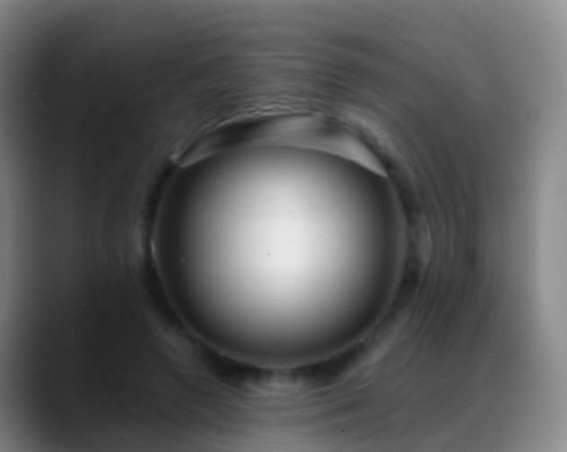 X0000088890546200706151831