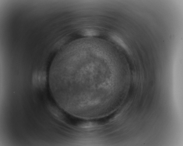 X0000088890549200706151831