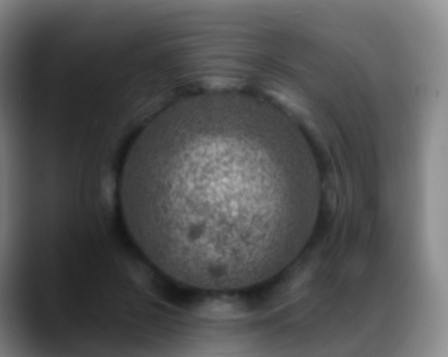 X0000088890550200706151831