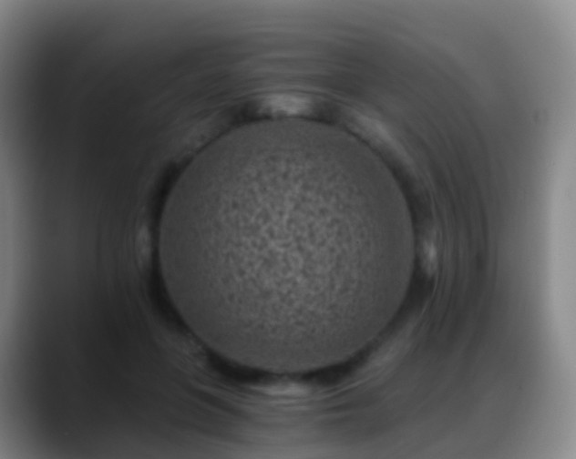 X0000088890551200706151831