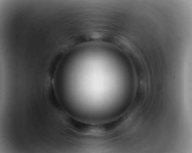 X0000088890555200706151831