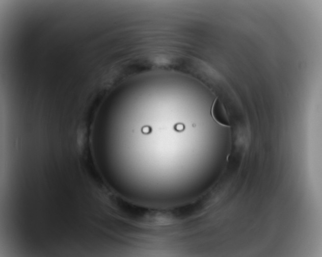 X0000088890559200706151831