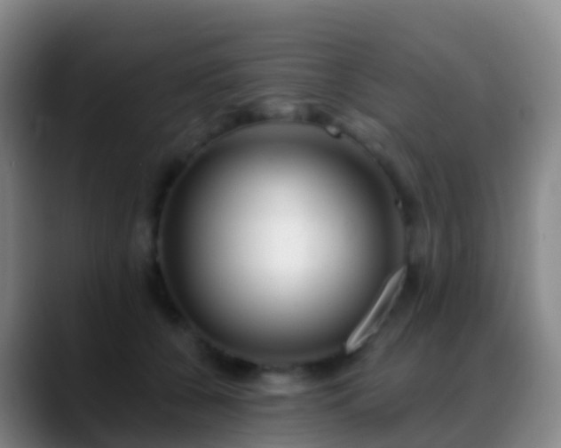 X0000088890560200706151831