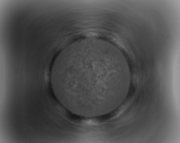 X0000088890561200706151831