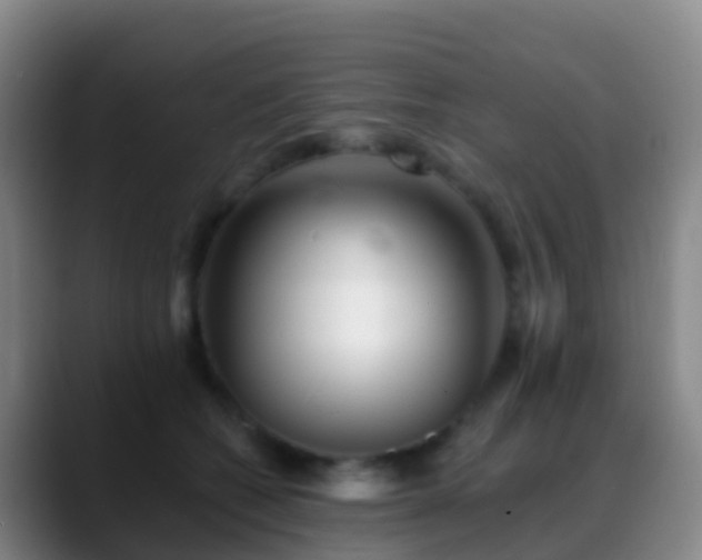 X0000088890562200706151831