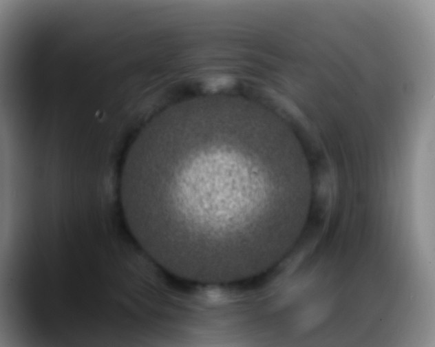 X0000088890565200706151831