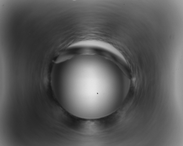 X0000088890566200706151832