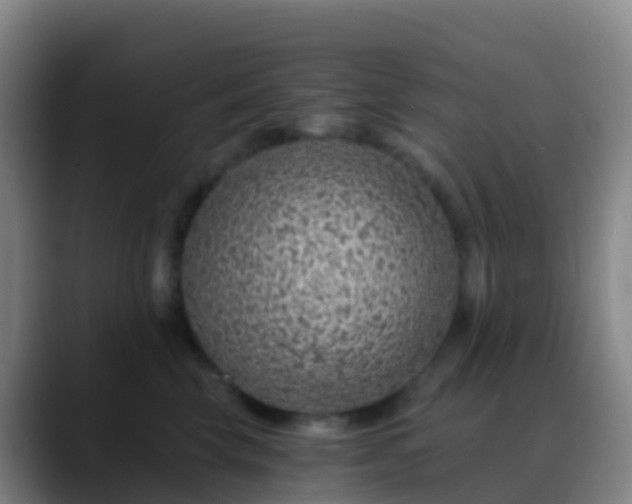 X0000088890569200706151832