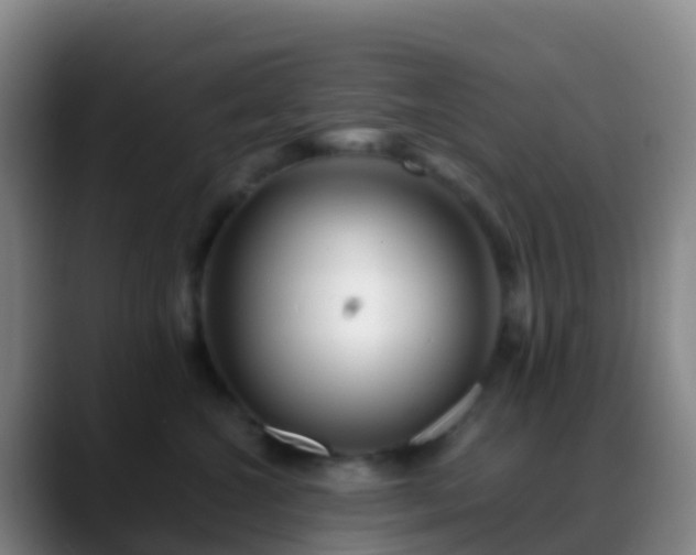 X0000088890572200706151832