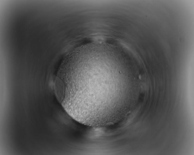 X0000088890573200706151832