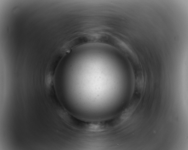 X0000088890574200706151832