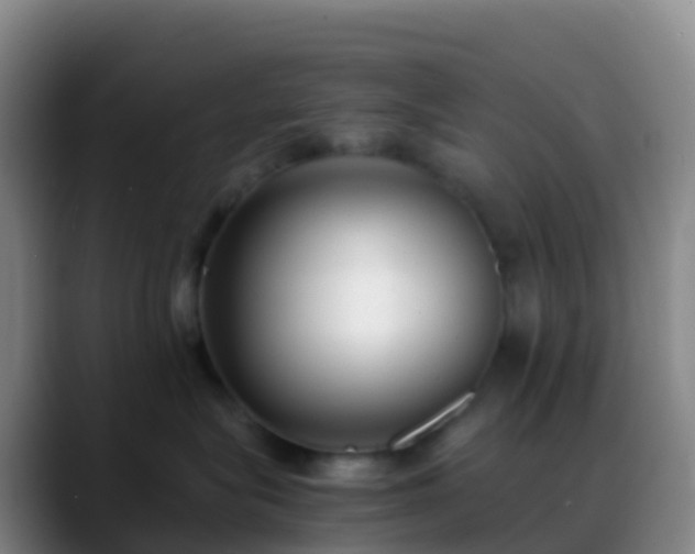 X0000088890575200706151832