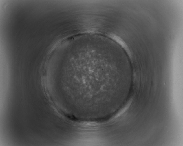 X0000088890577200706151831