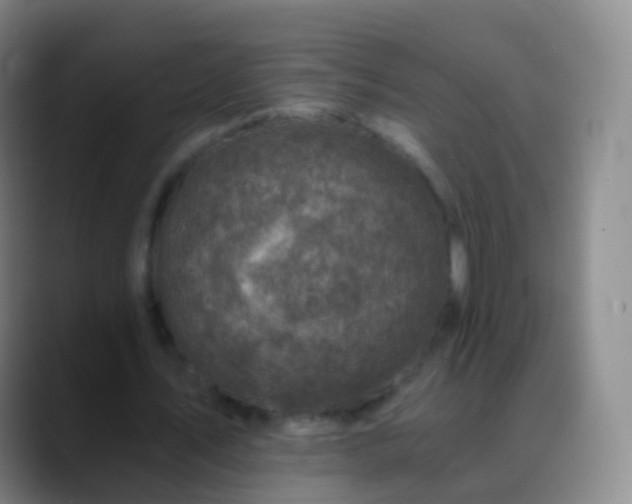 X0000088890579200706151831