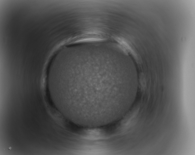 X0000088890583200706151831