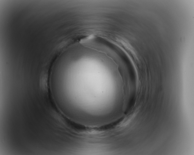 X0000088890585200706151831