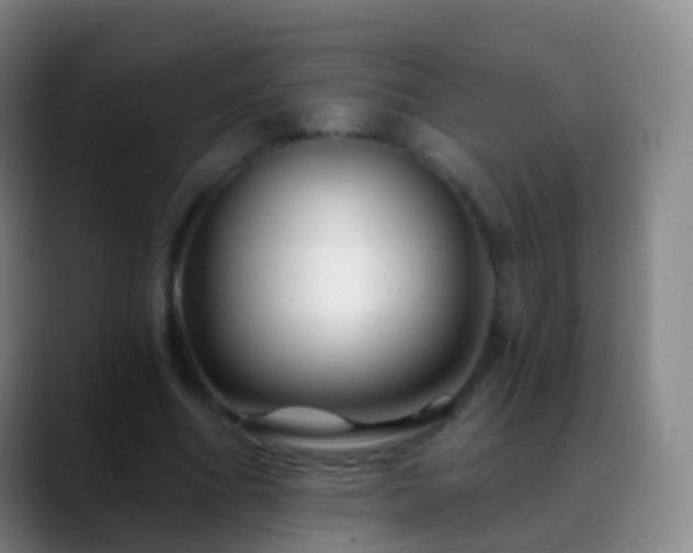 X0000088890586200706151831