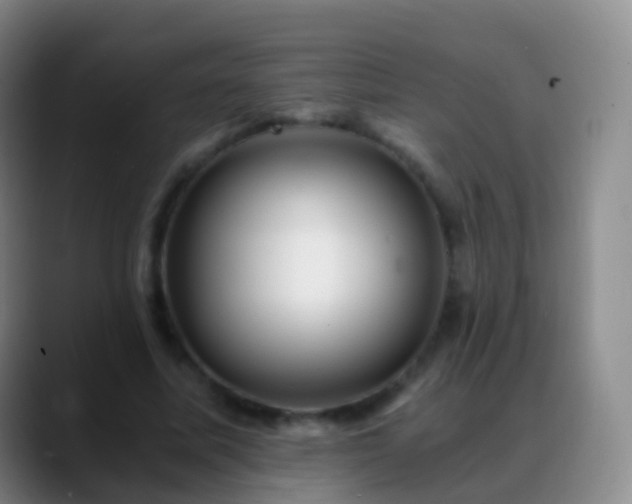 X0000088890587200706151831