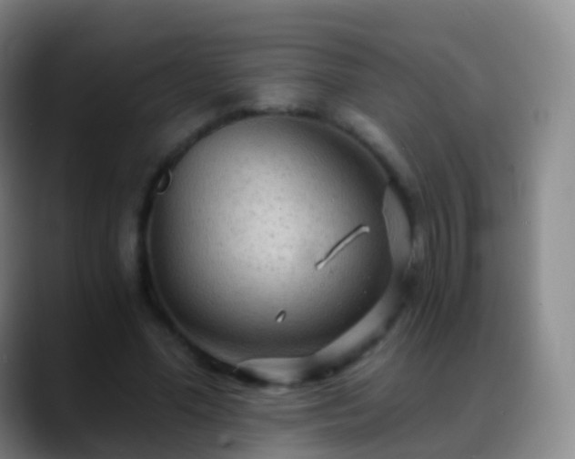 X0000088890588200706151831