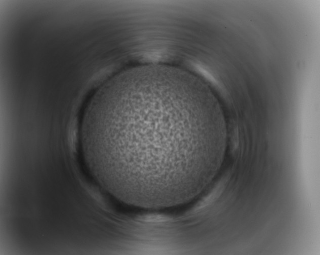 X0000088890590200706151831