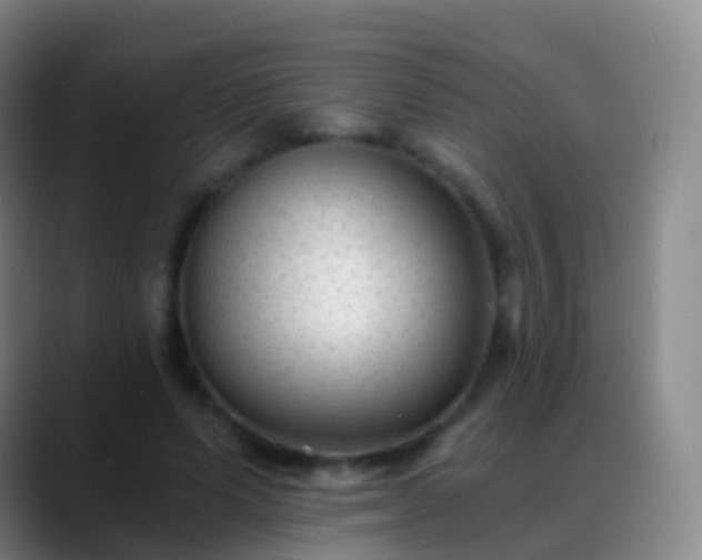 X0000088890591200706151831