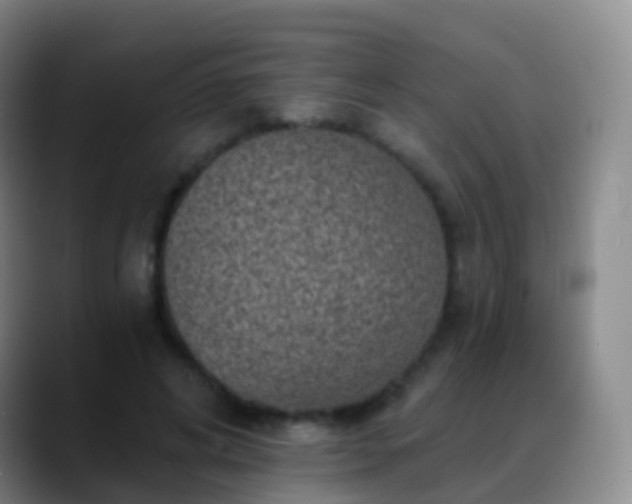 X0000088890592200706151831