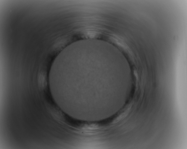 X0000088890599200706151831