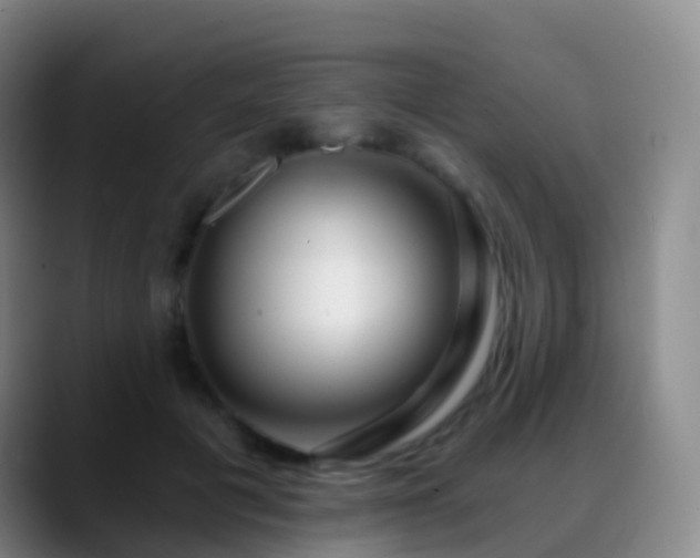 X0000088890601200706151831